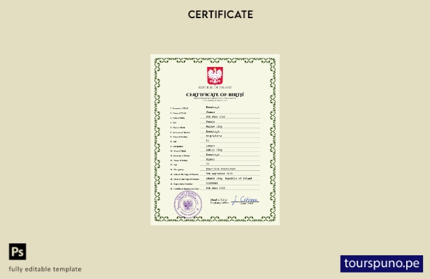 listo para imprimir plantilla PSD de certificado de nacimiento de registro ci 48